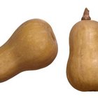 Brand X Pictures/Brand X Pictures/Getty Images Butternut squash is a yellowish-tan color at full maturity.