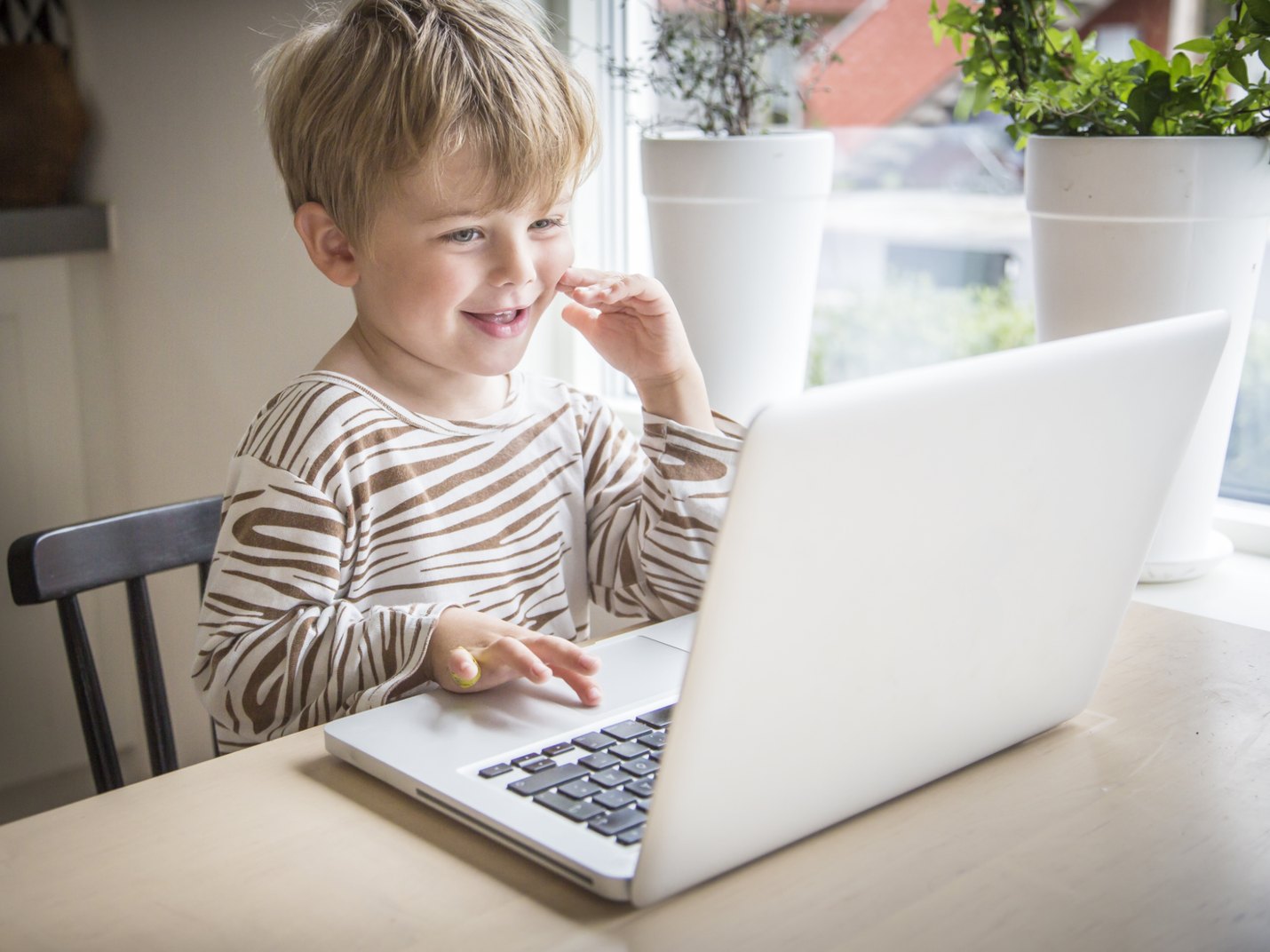 Boy playing on laptop