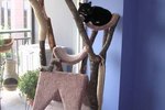 cat toy tree house