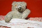 surface wash only stuffed animal
