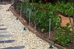 How to Keep Raccoons Out of a Garden | eHow