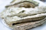 How to Steam Oysters | eHow