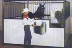 How to Build a Horse Stall