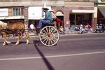 How to Build a Horse Cart