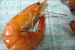Where Can Shrimp Be Found in the Ocean?
