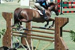 How to Build Horse Cavaletti Jumps