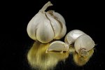 How to Use Garlic to Control Fleas for Dogs