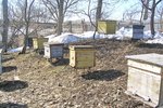 How to Build Bee Hives & Foundation Frames