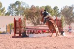 How to Teach Your Horse the Flying Lead Change
