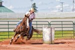 Tips on Training Barrel Racing Horses