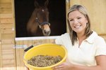 Difference in Whole, Crimped & Sweet Oats for Horses