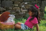 DIY Toys for Bunny Rabbits