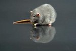 What Helps Trim Rats' Teeth Down?