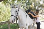 How to Tack Up a Horse
