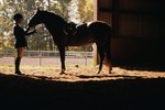 How to Teach Your Horse to Stop Rubbing Against You