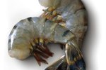Differences between Rock Shrimp & Tiger Shrimp