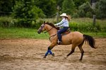 What Are Splint Boots on Horses Used For?