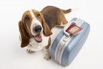 Pet Travel Checklist
