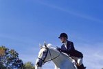 How Long Should a Training Session Be for a Horse?