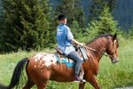 Exercises for Engaging a Horse's Hind Legs