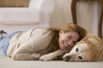 Sudden Arthritis Symptoms in Dogs