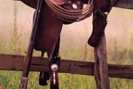 What Is the Difference Between a Gaited Horse Saddle & a Western Saddle?
