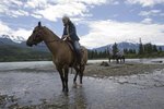 Why Do Horses Splash Water?