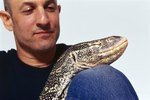 What Are the Top 10 Most Famous Lizards?