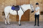 How to Measure the Tree of an English Saddle