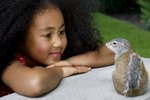 Raising Squirrels as Pets