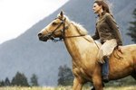 Effective Communication Between Horse & Rider