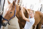 The Common Cold in Horses
