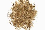 Slippery Elm Uses for Pets