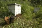 How to Build a Bee Hive Base