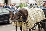 How to Make a Horse Blanket Pattern