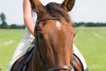 Fun Games to Play on Horseback & on the Ground With Horses