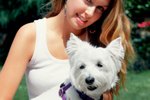 What to Feed a Westie That Is Not Eating