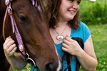 Persuasive Speech Topics for the Horse Lover