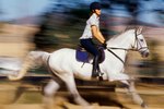 How to Stop a Walking Horse From Pacing