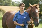 How to Treat an Equine Shoulder Injury