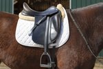 How to Measure English Saddles