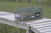 How to Rig a Crab Buoy