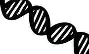 DNA Project Ideas for High School