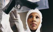 The Best Medical Colleges for Criminal Forensic Science