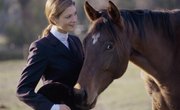 Colleges for Equine Therapy