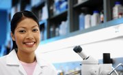 The Advantages of a Ph.D. in Biotechnology