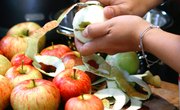 Who Invented the Apple Peeler?