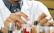 The Best Minors for Chemical Engineering Majors