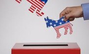 What Is the Purpose of Primary Elections in the Electoral Process?