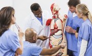 List of College Courses in the Medical Field